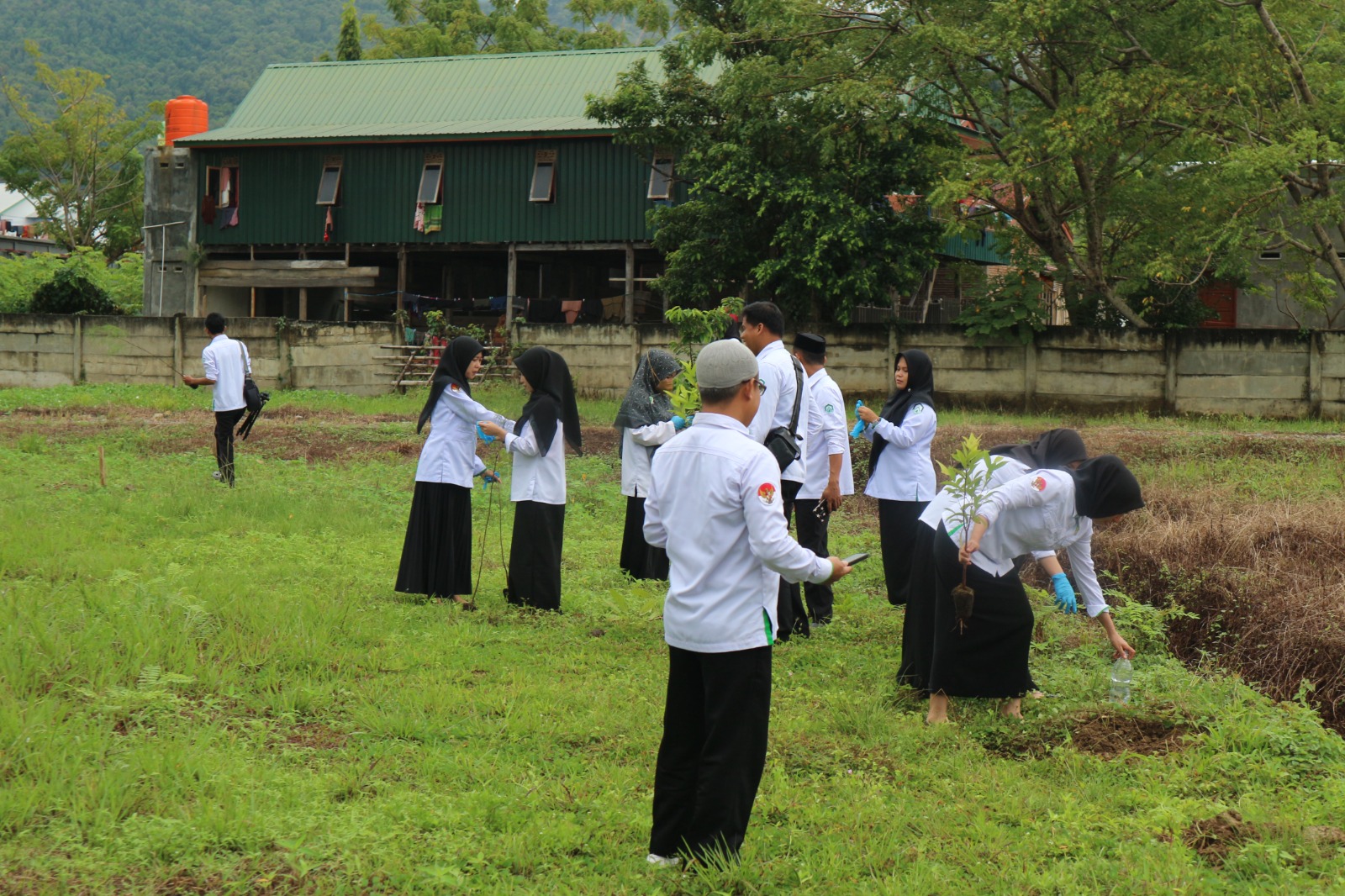 Implementasi Program Ekoteologi Menag RI, PPPK Tahap I UIN Palopo Tanam Pohon di Kampus 3